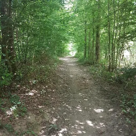 - Country At * Tingry