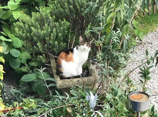 - Country At 公寓 Tingry