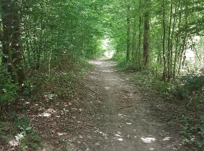 - Country At * Tingry